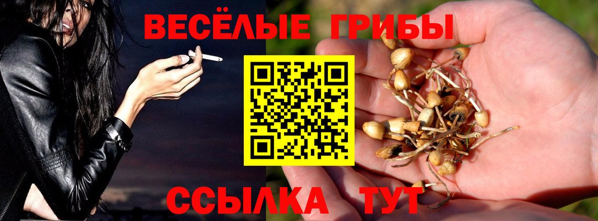 Псилоцибиновые грибы Psilocybine cubensis Грязи